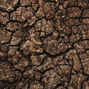 Cracked dry brown soil surface photography